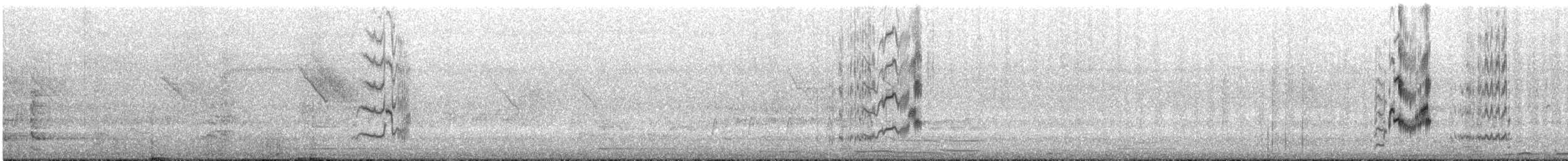 Лорікет синьоголовий - ML645644009