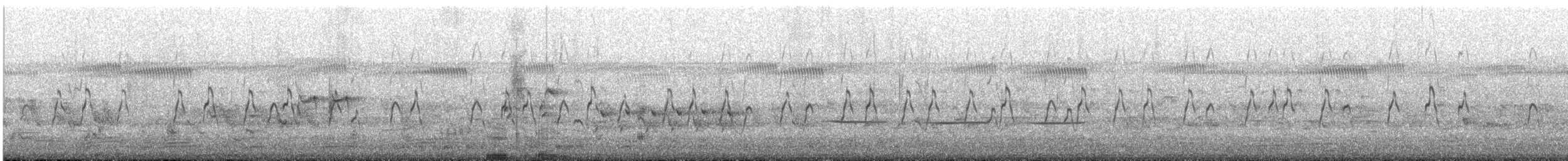 Пірникоза австралійська - ML645644024