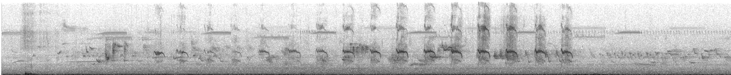 Качка-лопатоніс - ML645644132