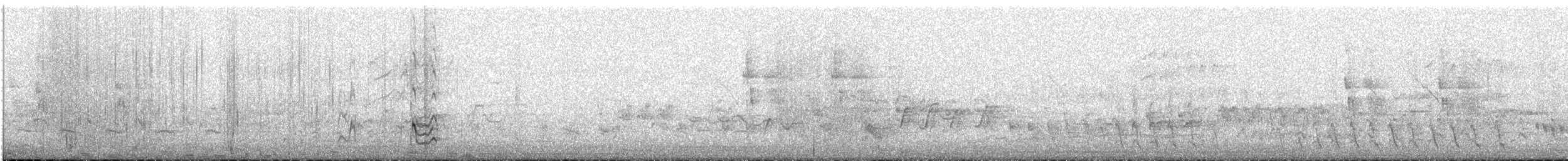 Качка-лопатоніс - ML645644174