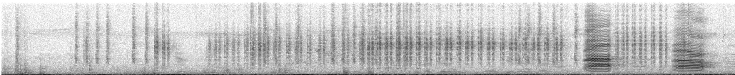 Віялохвістка чорноряба - ML645644281