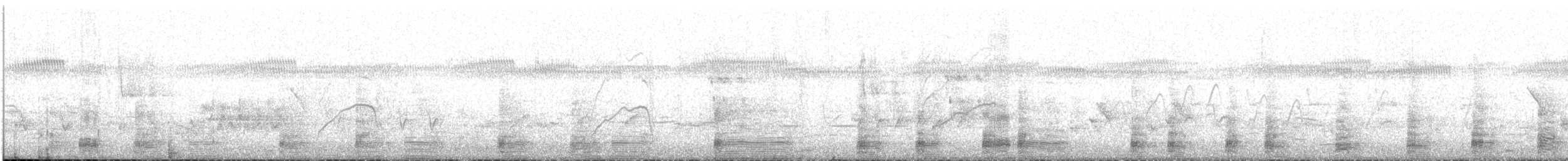 Ібіс молуцький - ML645644313