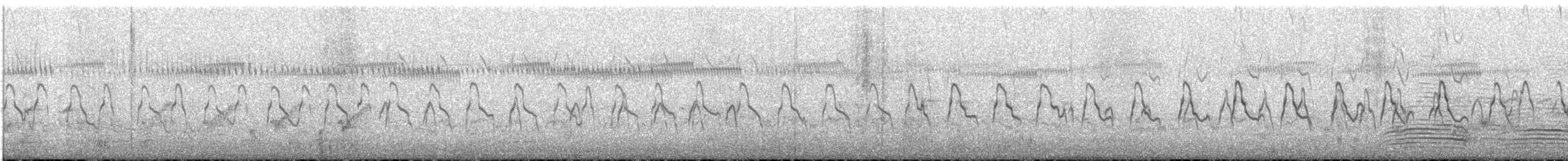 Пірникоза австралійська - ML645644369