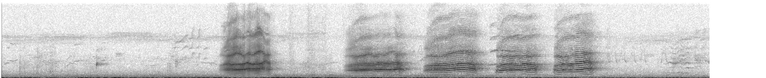 Крук австралійський - ML645644392