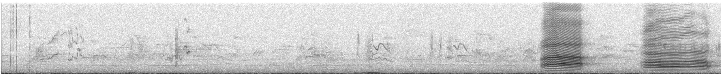 Neuhollandkrähe - ML645644395