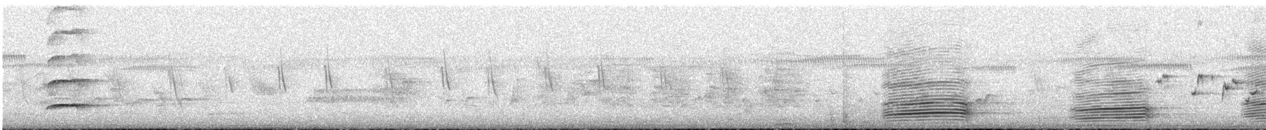 Australian Raven - ML645644396