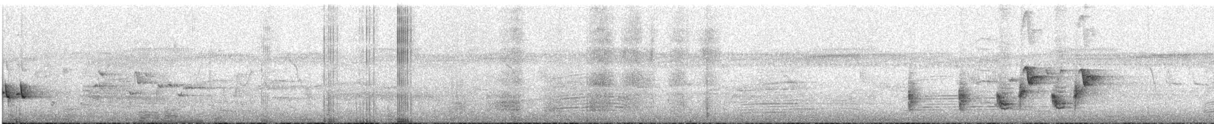 Australrohrsänger - ML645644401