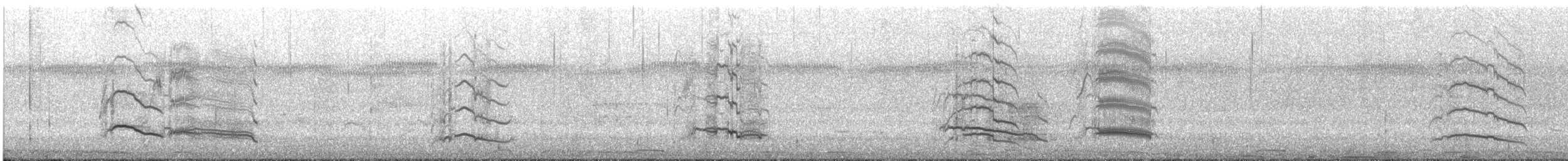 Papuateichhuhn - ML645644481