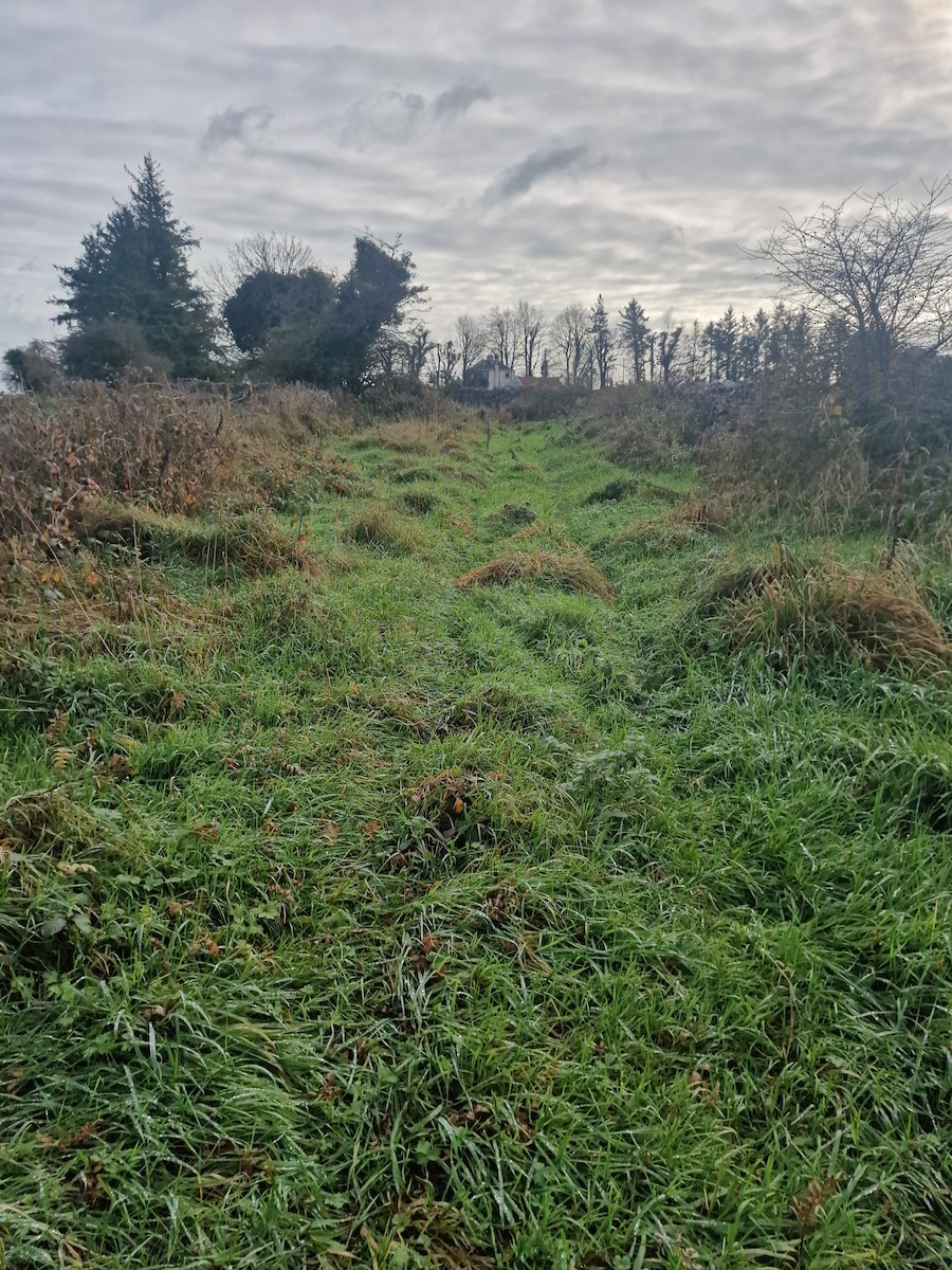 European Stonechat - ML645644572