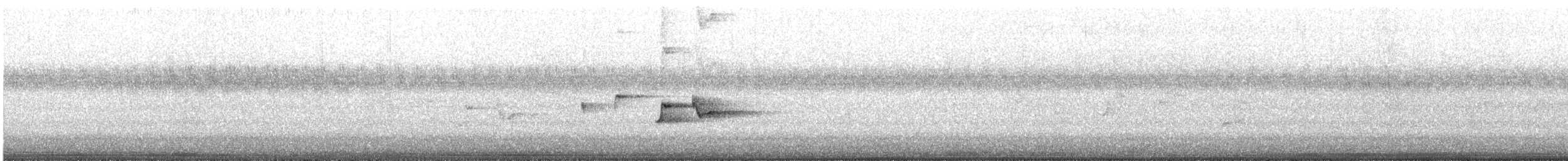 Willie-wagtail - ML645644700