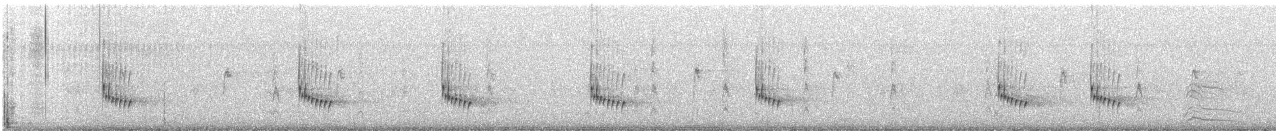 Carolina Wren - ML645644963