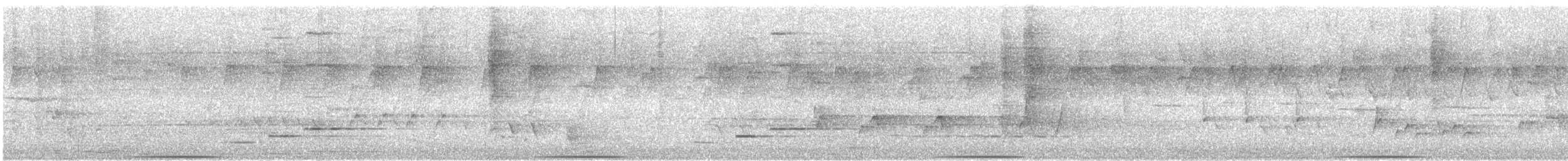 Common Bronzewing - ML645645423