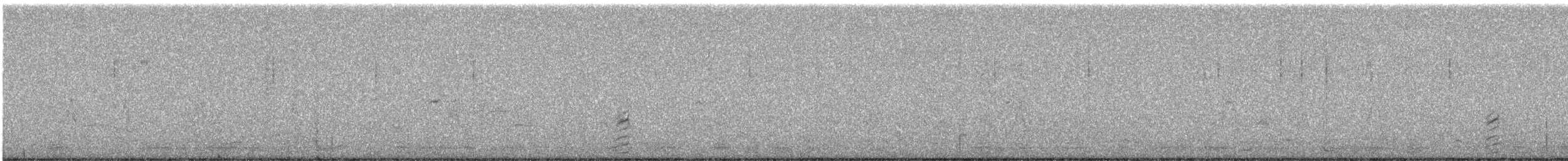 コガモ - ML645645436