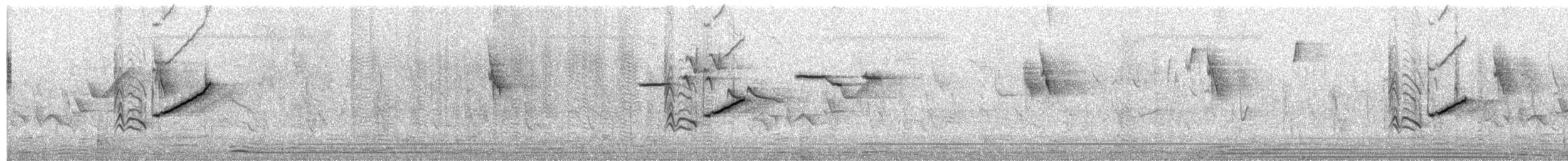 黃額絲雀 - ML645645529