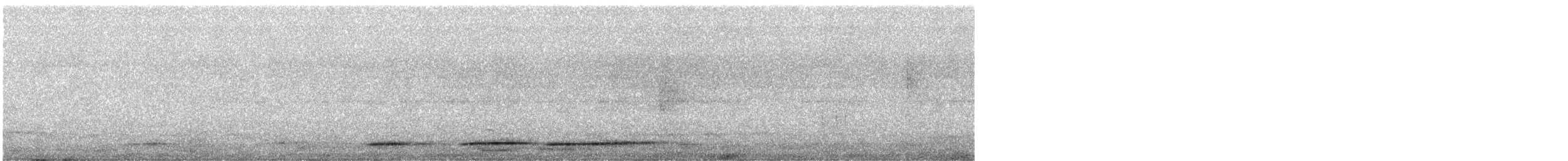 Undulated Tinamou - ML645645756