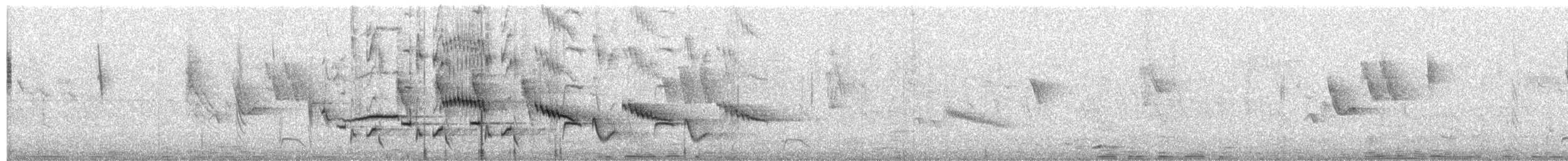 White-browed Robin-Chat - ML645646026