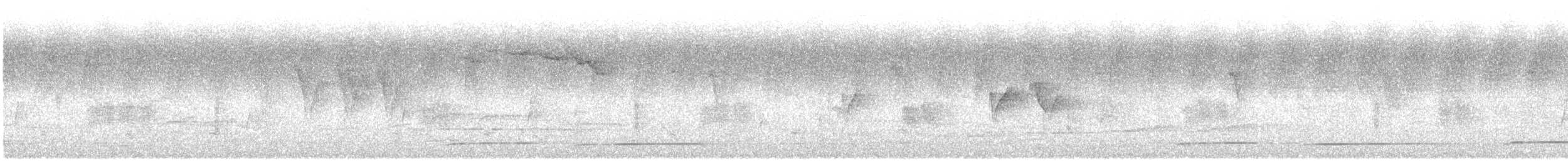 ノドアカミヤマテッケイ - ML645646250