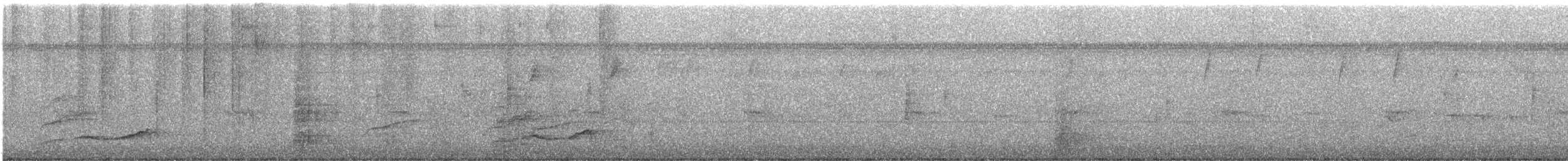 Merle fauve - ML645646283