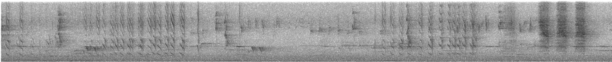 Gilbert's Honeyeater - ML645646315