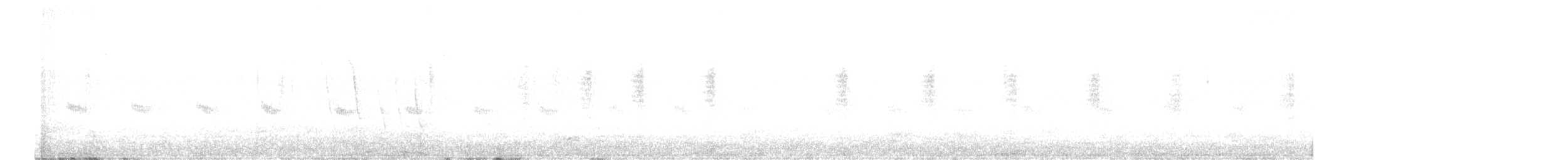 Ancash Tapaculo - ML645646609