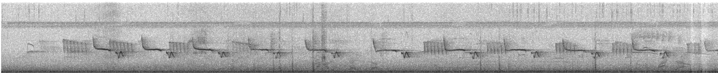 Ashy Tailorbird - ML645646738