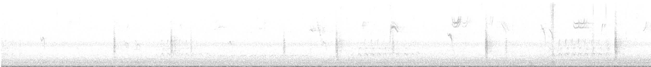 Brewer's Blackbird - ML645647104