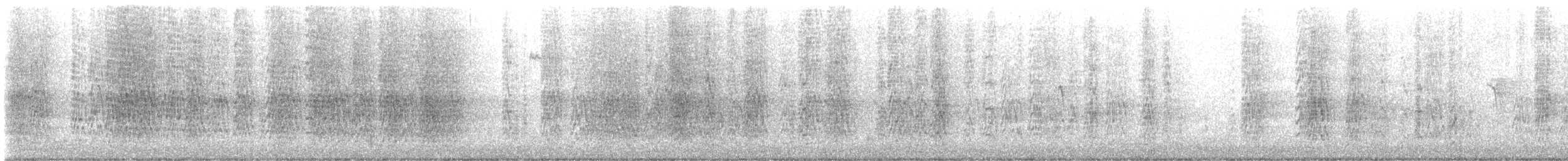 Mönchssittich - ML645647110