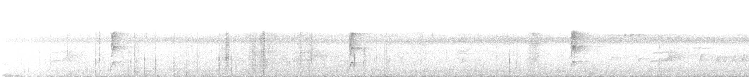 White-throated Spadebill - ML645648788