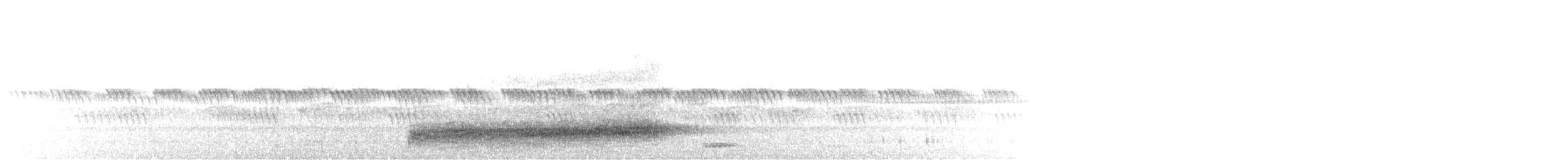 Western Barn Owl (African) - ML645648793