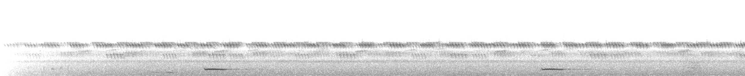 African Scops-Owl - ML645648800