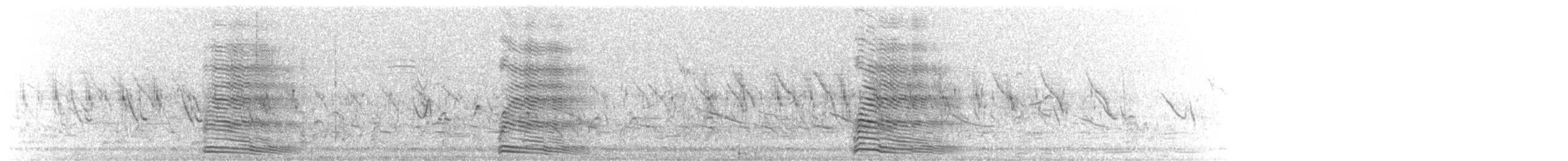 Gray Go-away-bird - ML645648842