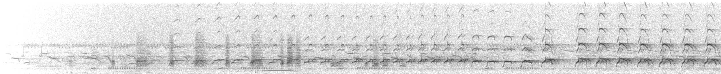 Spotted Thick-knee - ML645648868