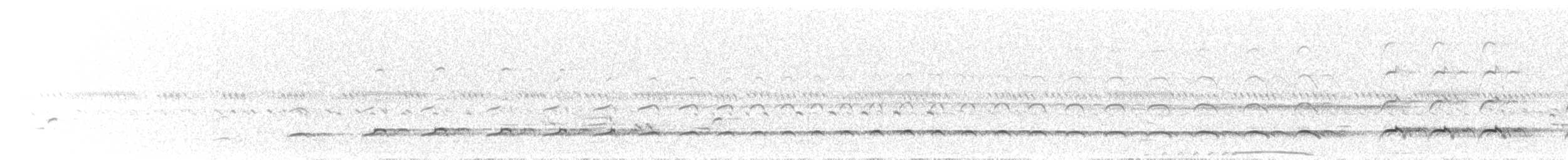 Spotted Thick-knee - ML645648870