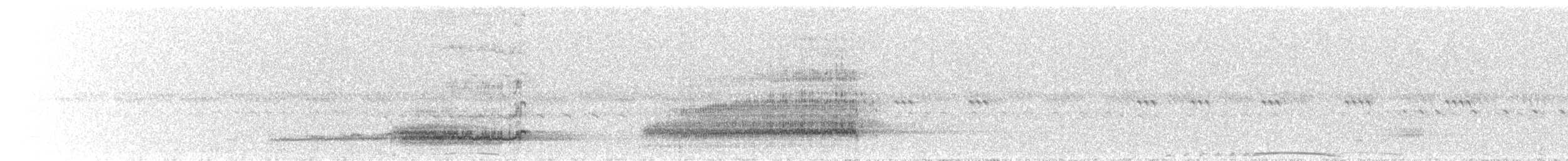 Western Barn Owl (African) - ML645648893