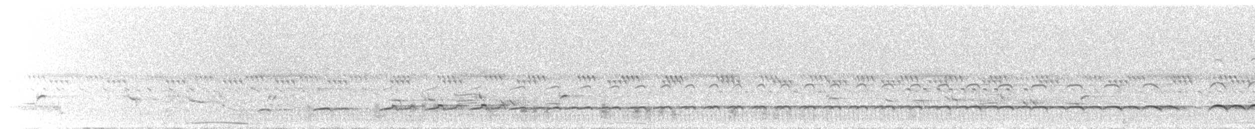 Spotted Thick-knee - ML645649087