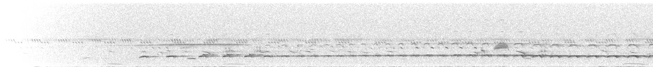 Spotted Thick-knee - ML645649088