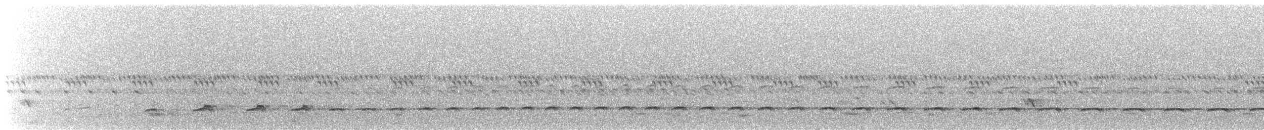 Spotted Thick-knee - ML645649089