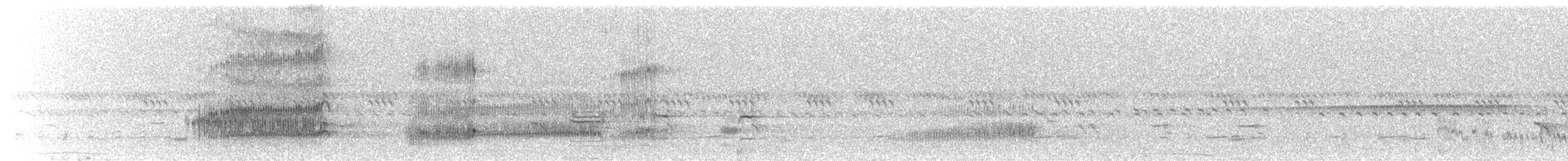 Western Barn Owl (African) - ML645649098