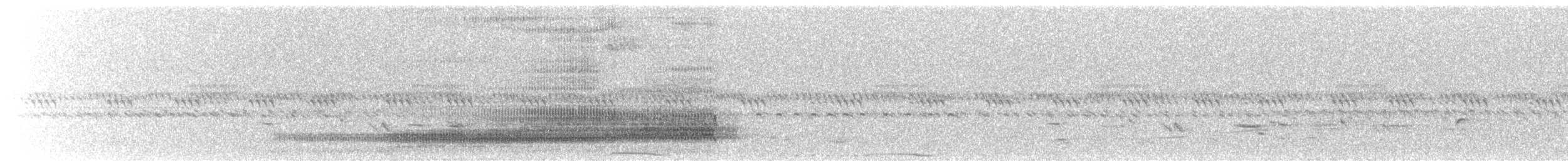 Western Barn Owl (African) - ML645649099