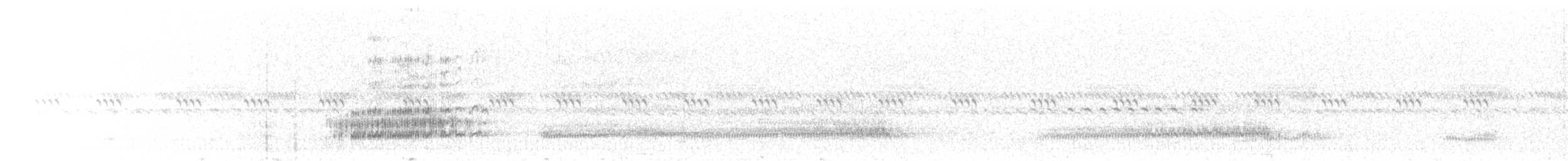 Western Barn Owl (African) - ML645649100