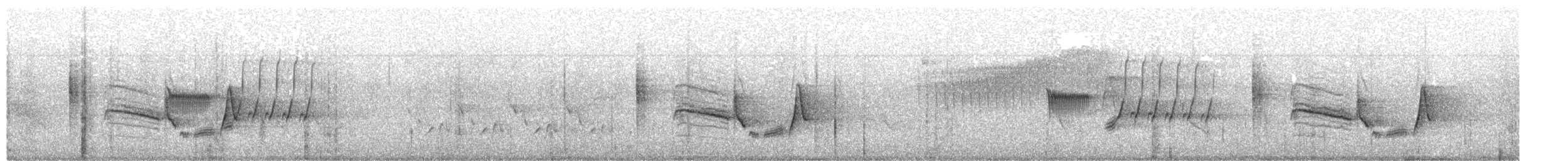 White-eyed Vireo - ML645649181