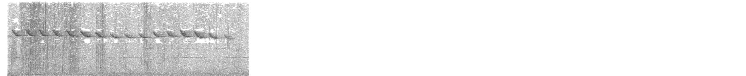 Pin-tailed Manakin - ML645650893