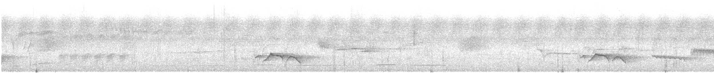 Aves sp. - ML645651019