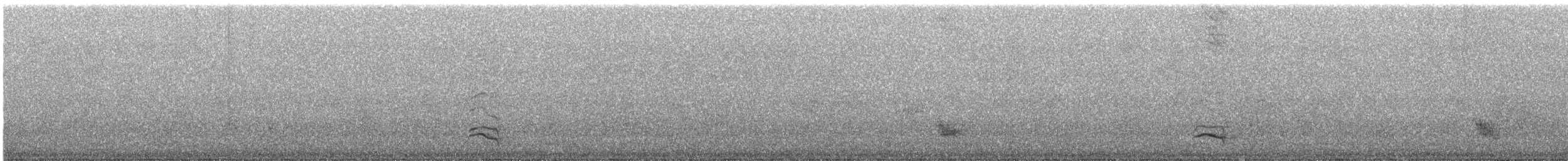 Белошейный дрозд - ML645651042