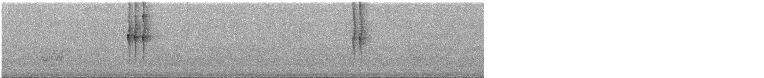 Sharp-tailed Streamcreeper - ML645651266