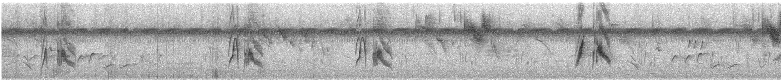 Weidenschnäppertyrann - ML645651501