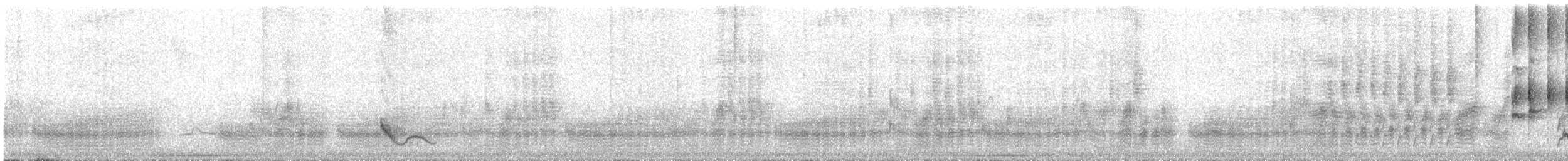 Swallow-tailed Manakin - ML645651911