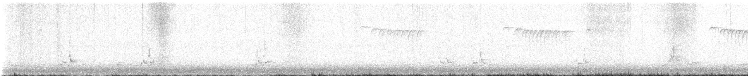 Northern Shrike - ML645652043