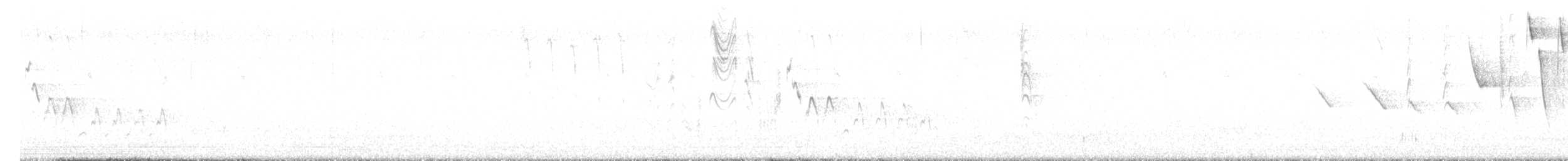 Southern House Wren - ML645652476