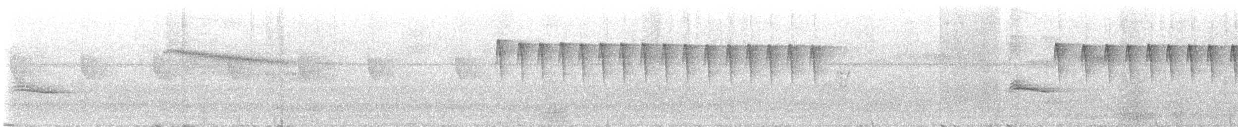 Checker-throated Stipplethroat - ML645652552
